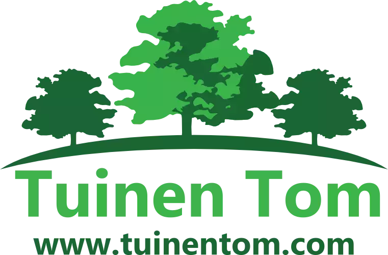 Scheers Tom