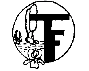 Tuinaanleg Festjens