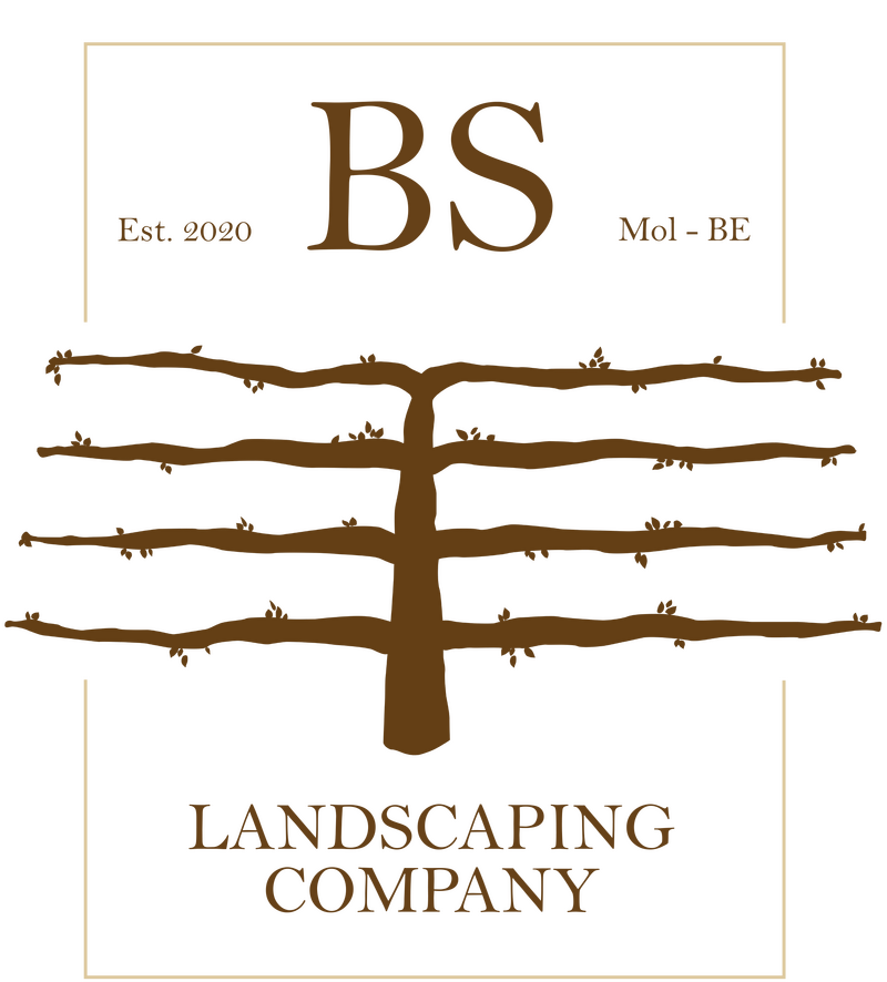 BS Landscaping Company