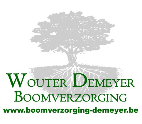 Boomverzorging Demeyer Wouter