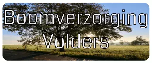 Boomverzorging Volders