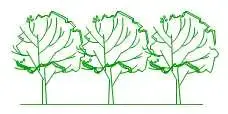 Tuinarchitect Stefaan Couckuyt BV