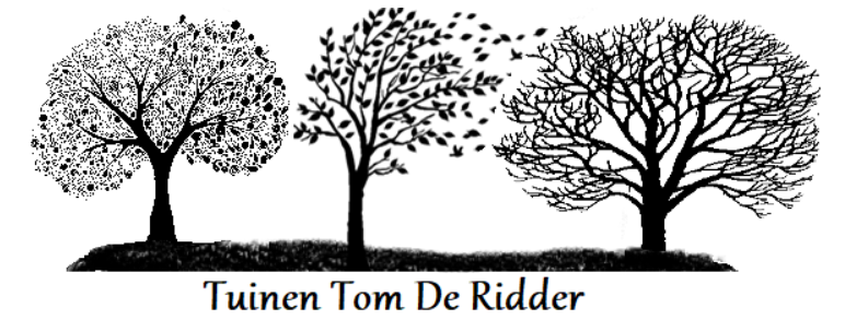 tuinen Tom De Ridder