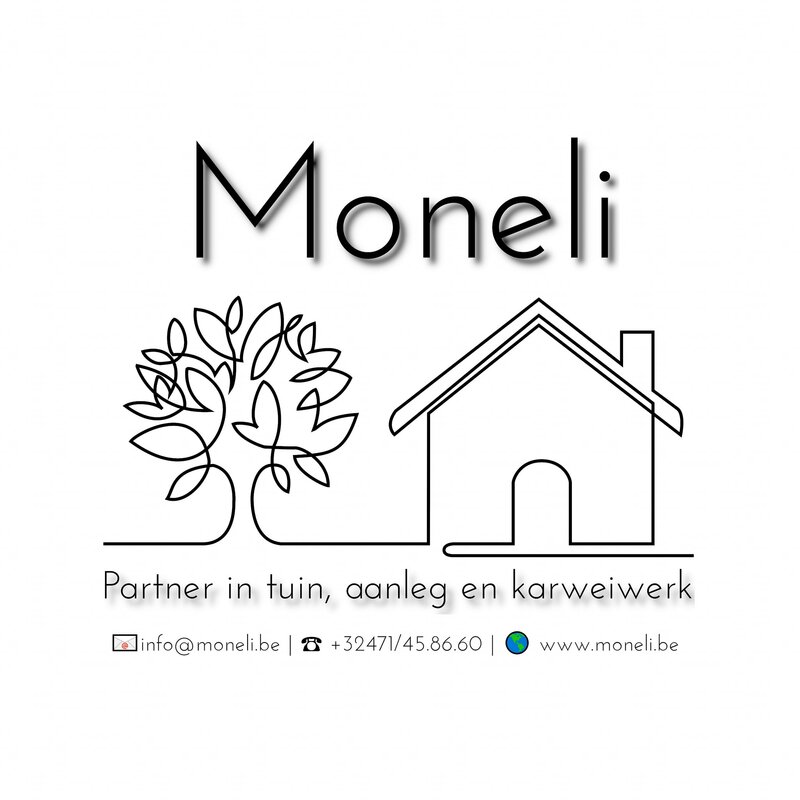 Moneli