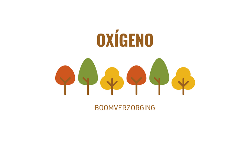 oxigenoboomverzorging