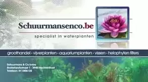 Schuurmansenco bvba 