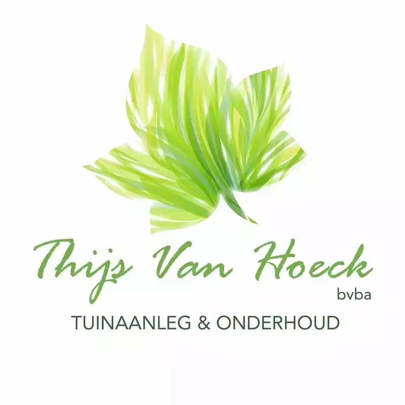Van Hoeck Thijs