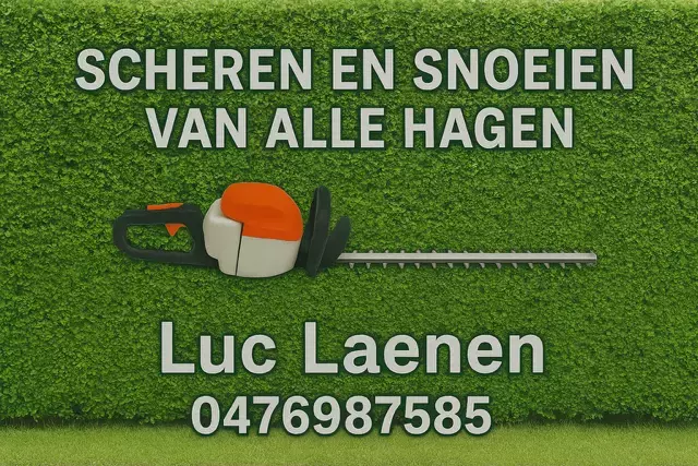 Luc Laenen
