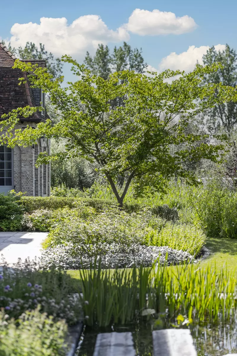 Weelderige tuin in Wannegem-Lede