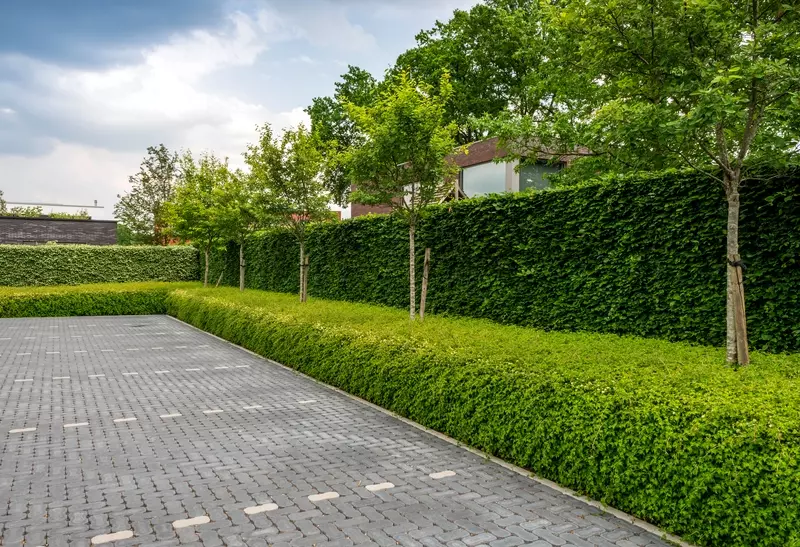 Parking bedrijf Tuinen Verrezen