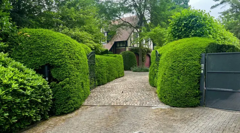 Wij houden je tuin netjes en gezond met snoeiwerk, gazononderhoud en seizoensverzorging.