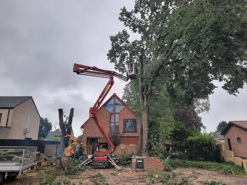 Vellen en verwijderen van bomen met behulp van hoogtewerker en hakselaar