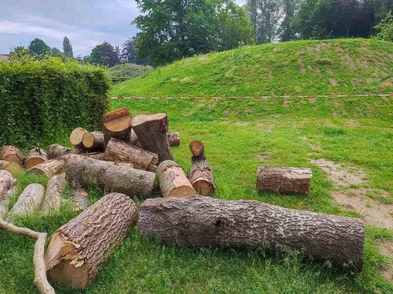 Vellen bomen