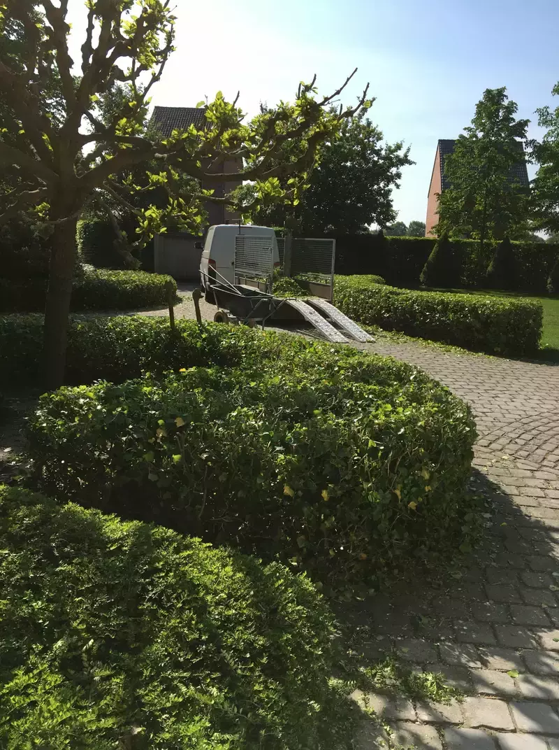 snoeiwerken
