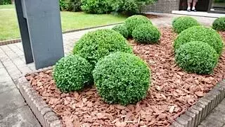aanlengen en de onderhoud van u tuin 