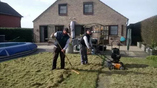 vernieuwen & verluchten van gazon