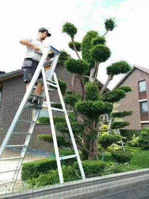 scheerwerken 