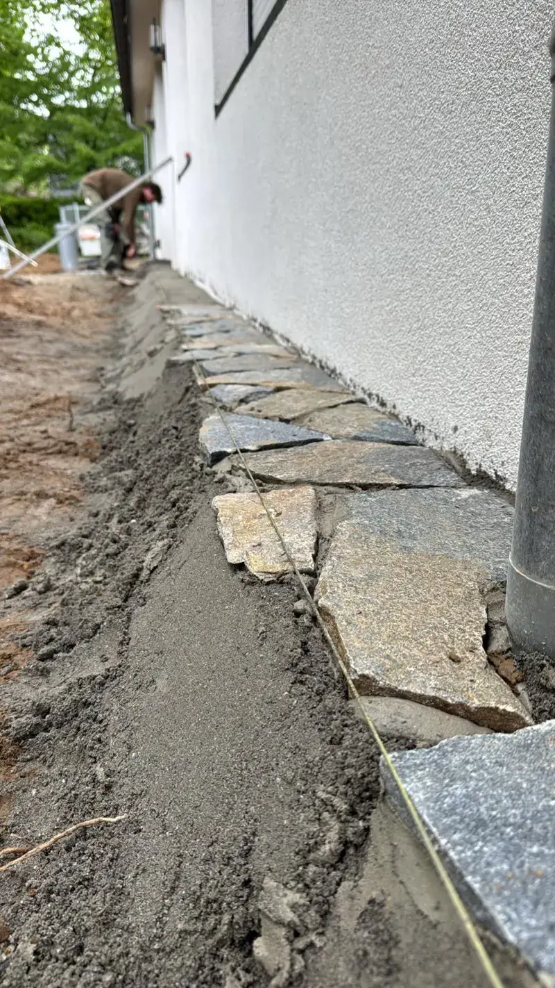 Flagstones in bosrijk gebied 