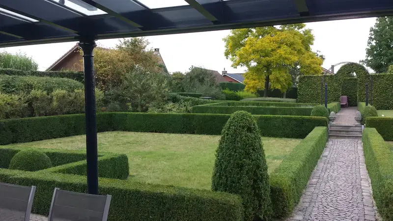 vormsnoei van hagen en massieven 