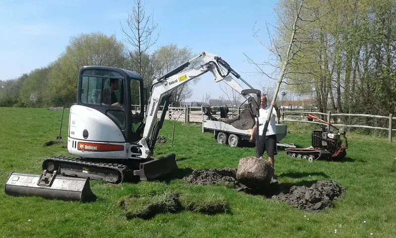 Aanplanten van een groep eiken