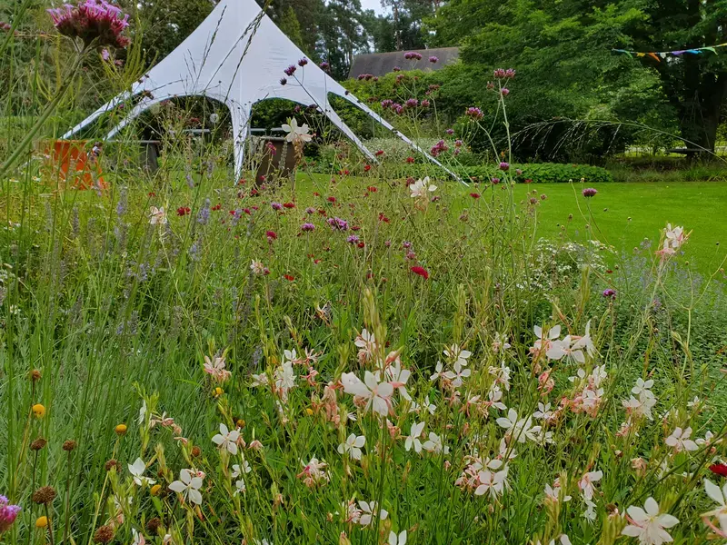 Ik vind het belangrijk dat ook in een Natuurtuin er voldoende plek is om te spelen en eventueel een feest te organiseren zoals hier in Schoten