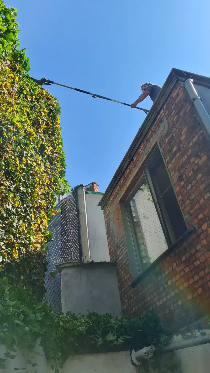U kan bij ons ook terecht voor hagen op grotere hoogtes