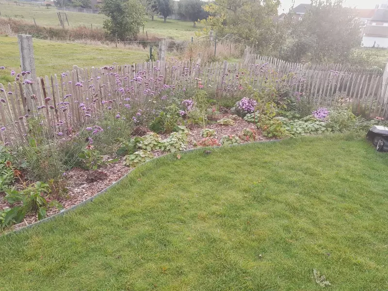 wilde tuin