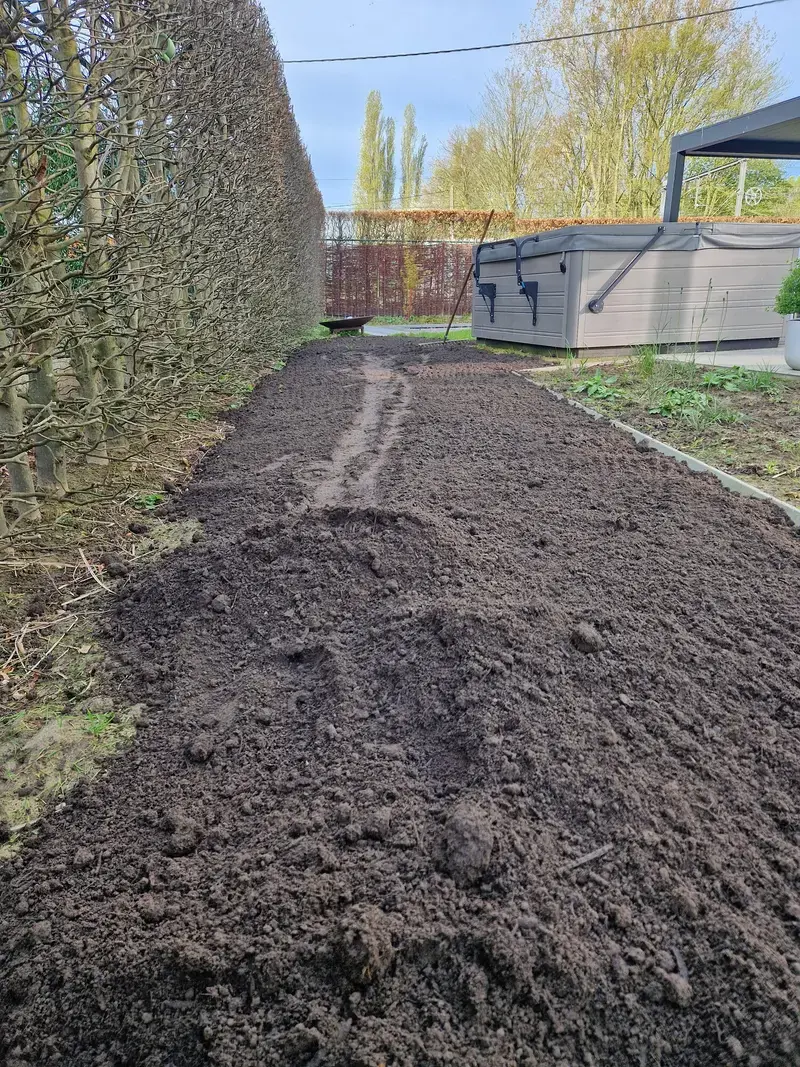 Invoeren van tuincompost voor het verbeteren van de grond voor een gazonrenovatie