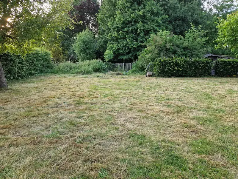 Gras is terug gezet waarna er meststoffen worden gebruikt om het gazon te herstellen 