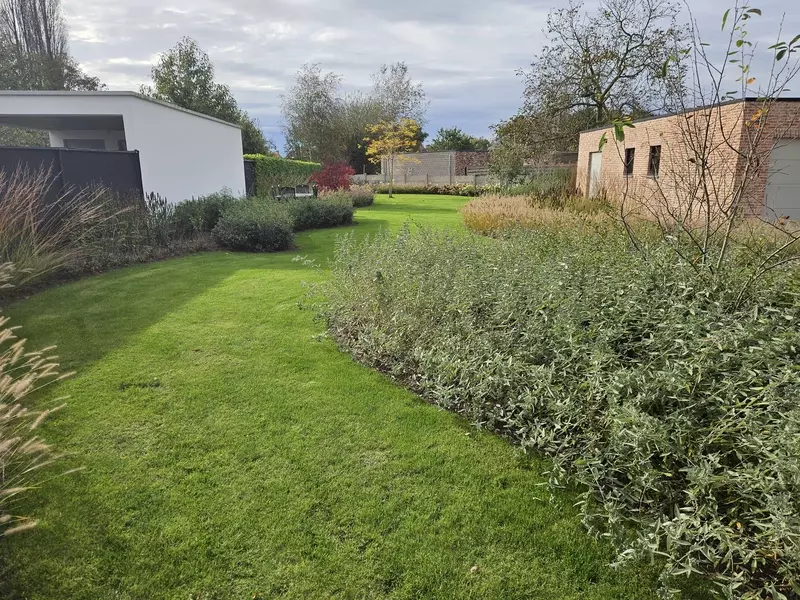 Organische beplanting met wolken