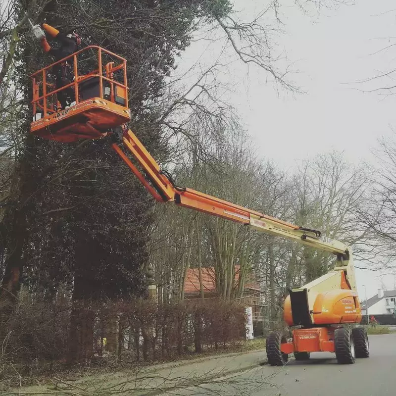 Snoei met hoogtewerker