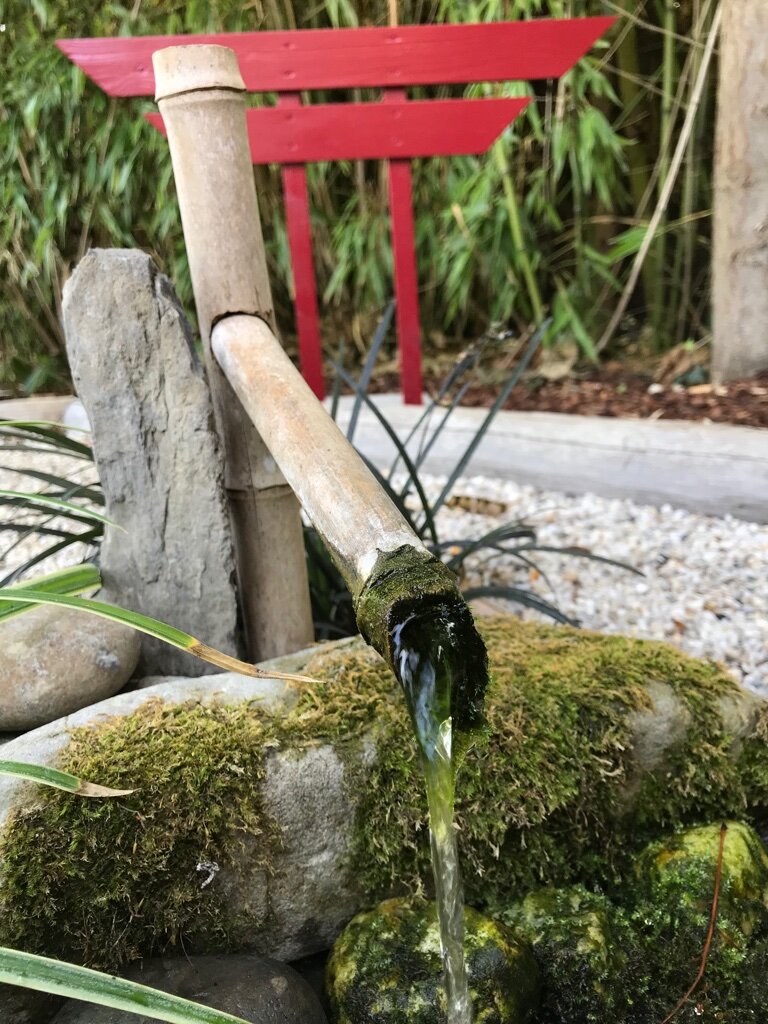 Aanleg van een Japanse waterpartij