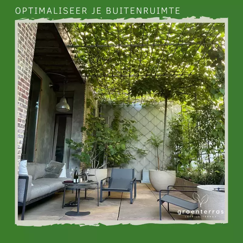 Groenterras pergola druivelaar