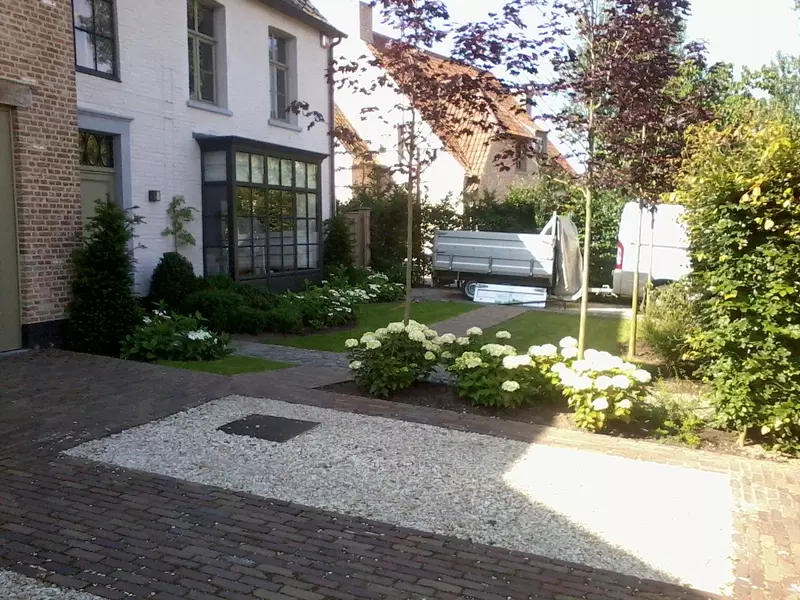eerste zomer na aanleg tuin