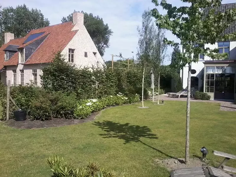eerste zomer na aanleg tuin