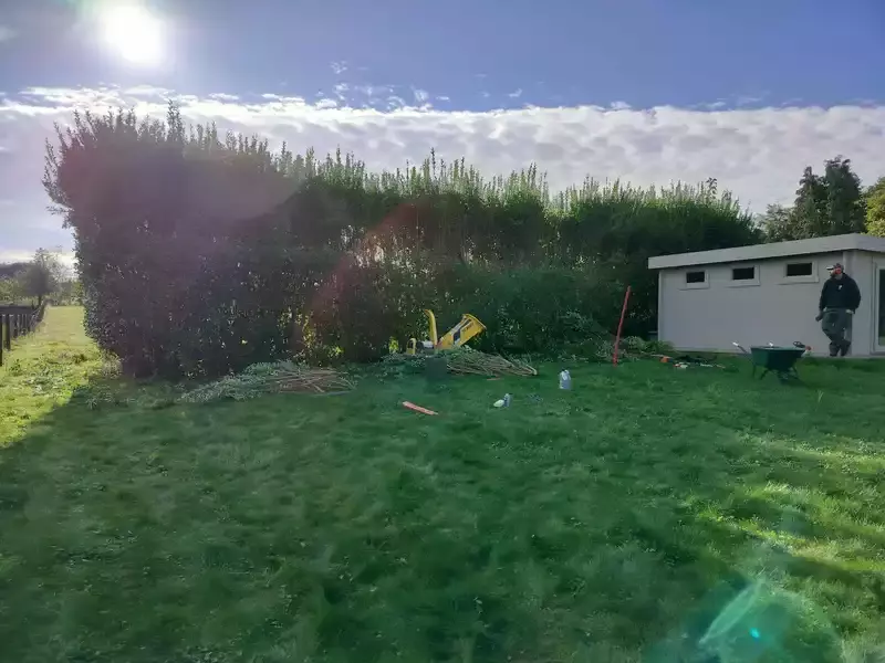 Onderhoud van voortuin in woonwijk door Tuinen Saevels
