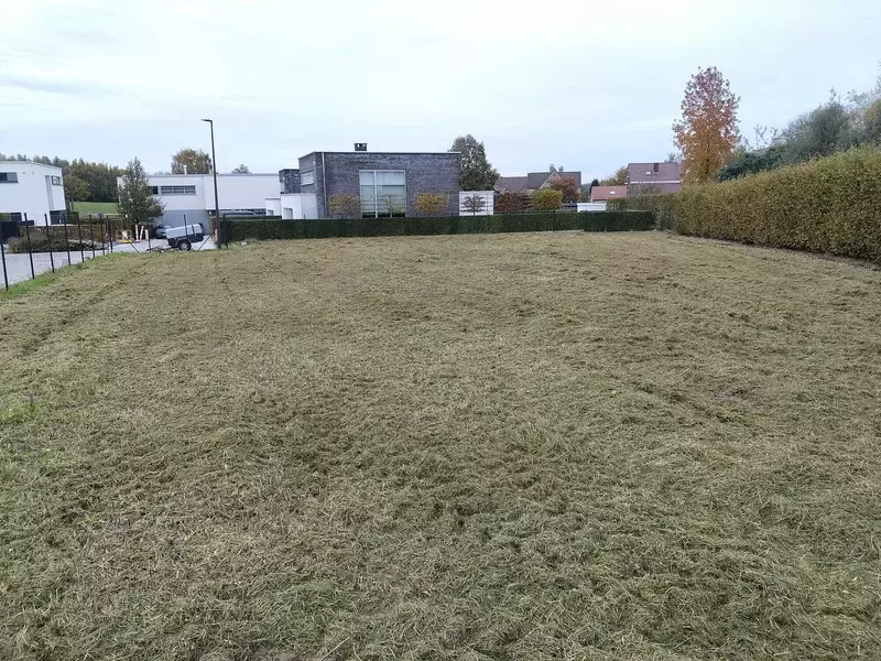 klepelmaaien van terreinen