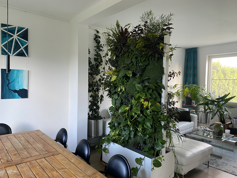 Deze mobiele groenwand fungeert als room divider bij je thuis maar ook op kantoor