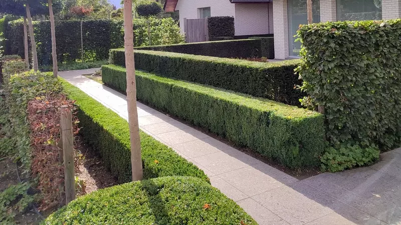 Tuinonderhoud