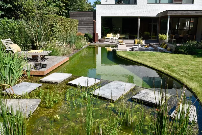 Tuin met natuurlijke zwemvijver