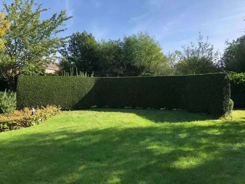 Snoeiwerken