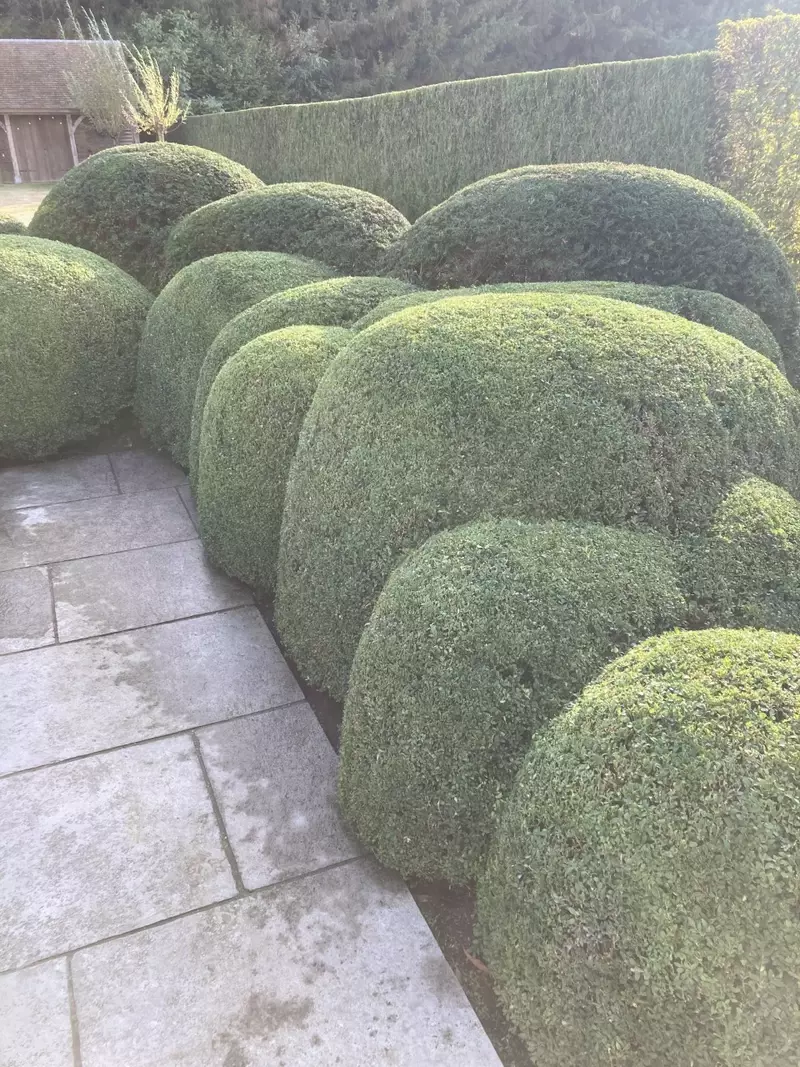 Tuinonderhoud 