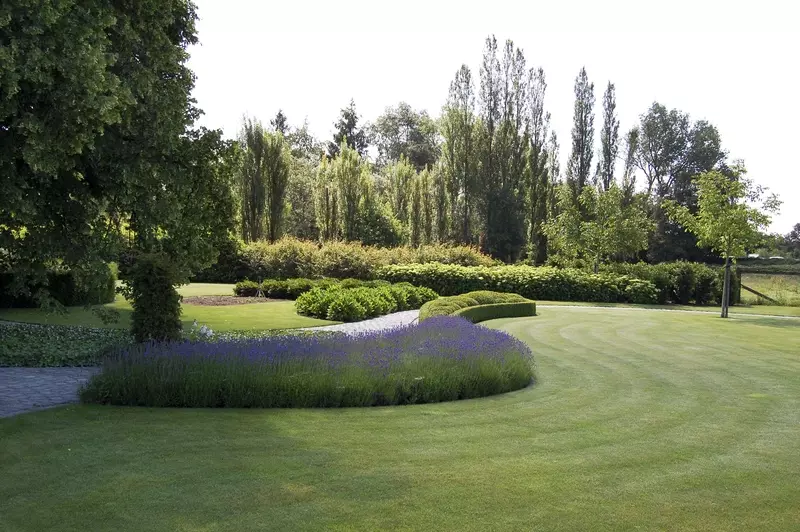 Landelijke tuin met lavendel.