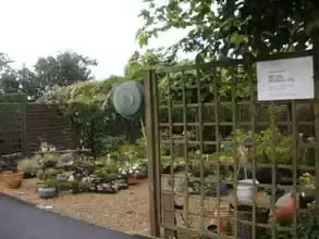 verkoop van tuinplanten