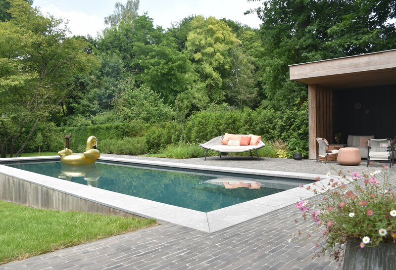 Tuin met voorgemaakt PPC bad - natuurlijk - strak en zalig genieten in deze tuin met de avondzon in het poolhouse.