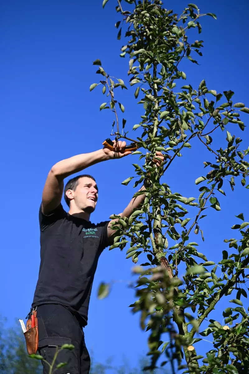 Fruitsnoei.