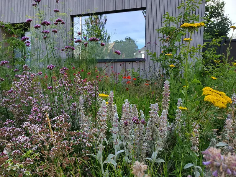 Droogtebestendige voortuin
