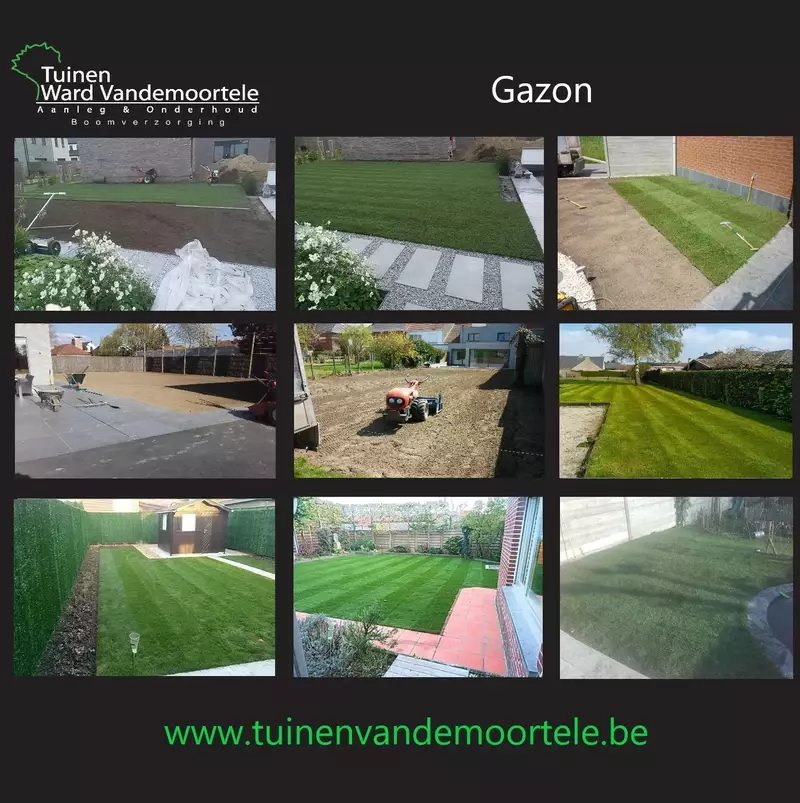 Gazon