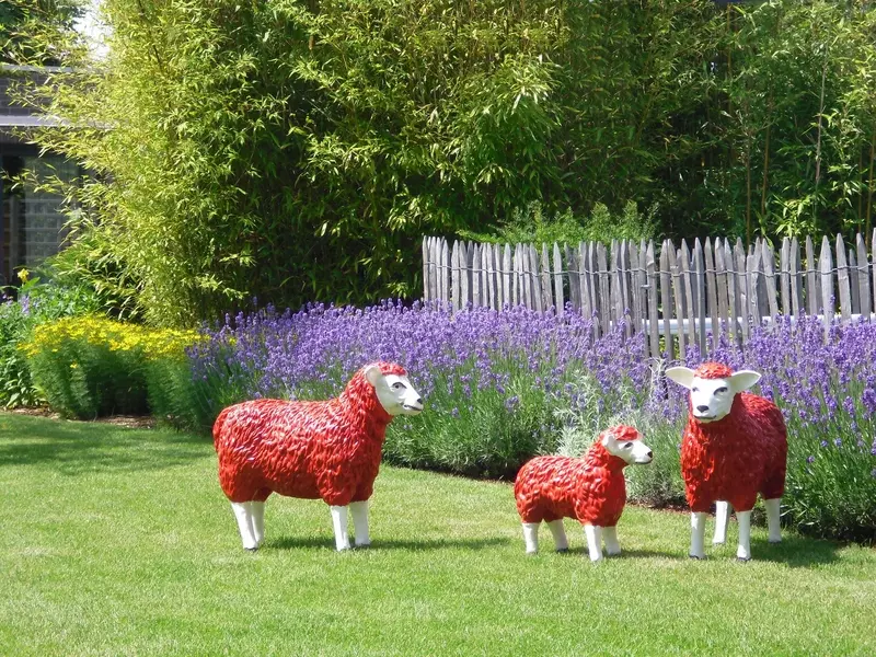 Gazon met lavendel