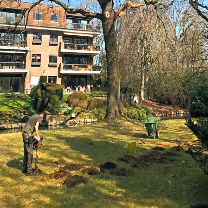 Standplaatsverbetering zomereik